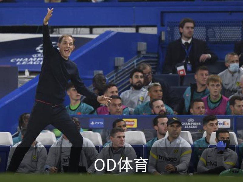OD体育介绍